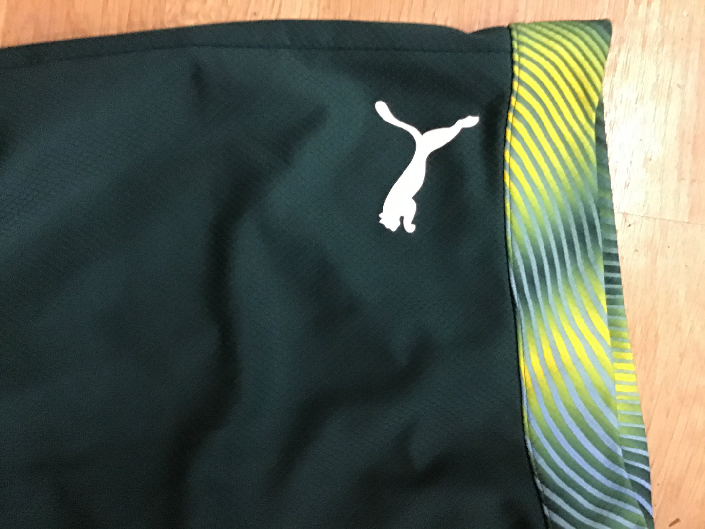 Puma Manchester City Hunter Green Mesh Shorts, Size M