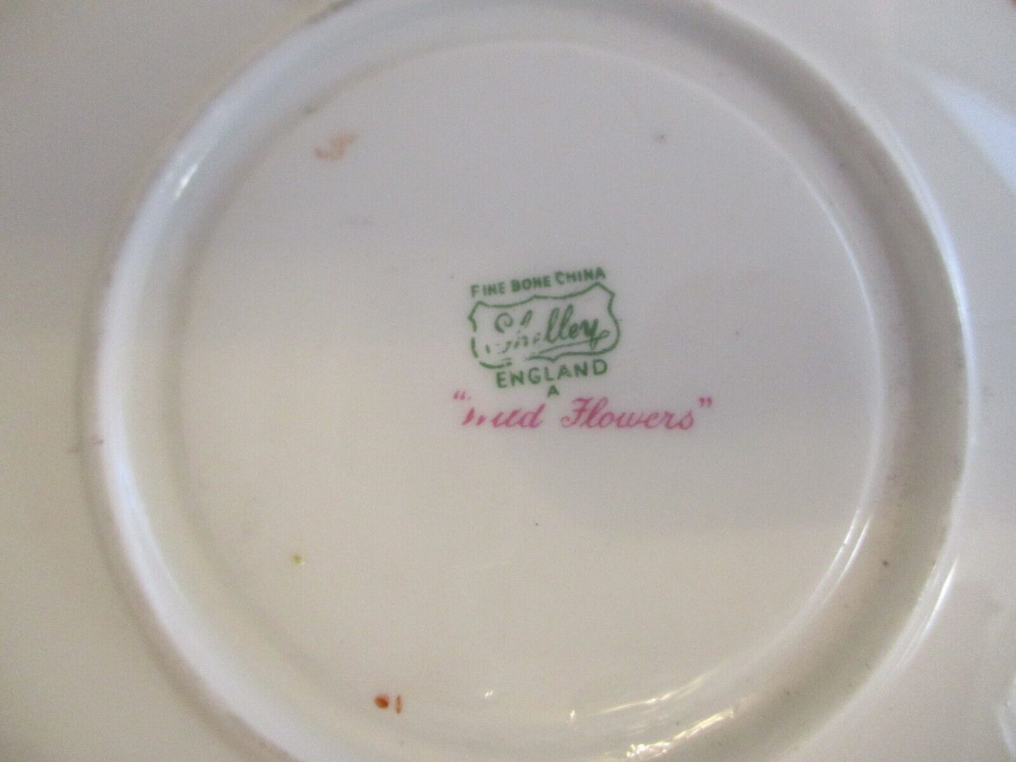 Vintage Shelley Tea Cup & Saucer - "WILD FLOWERS" # Z13686
